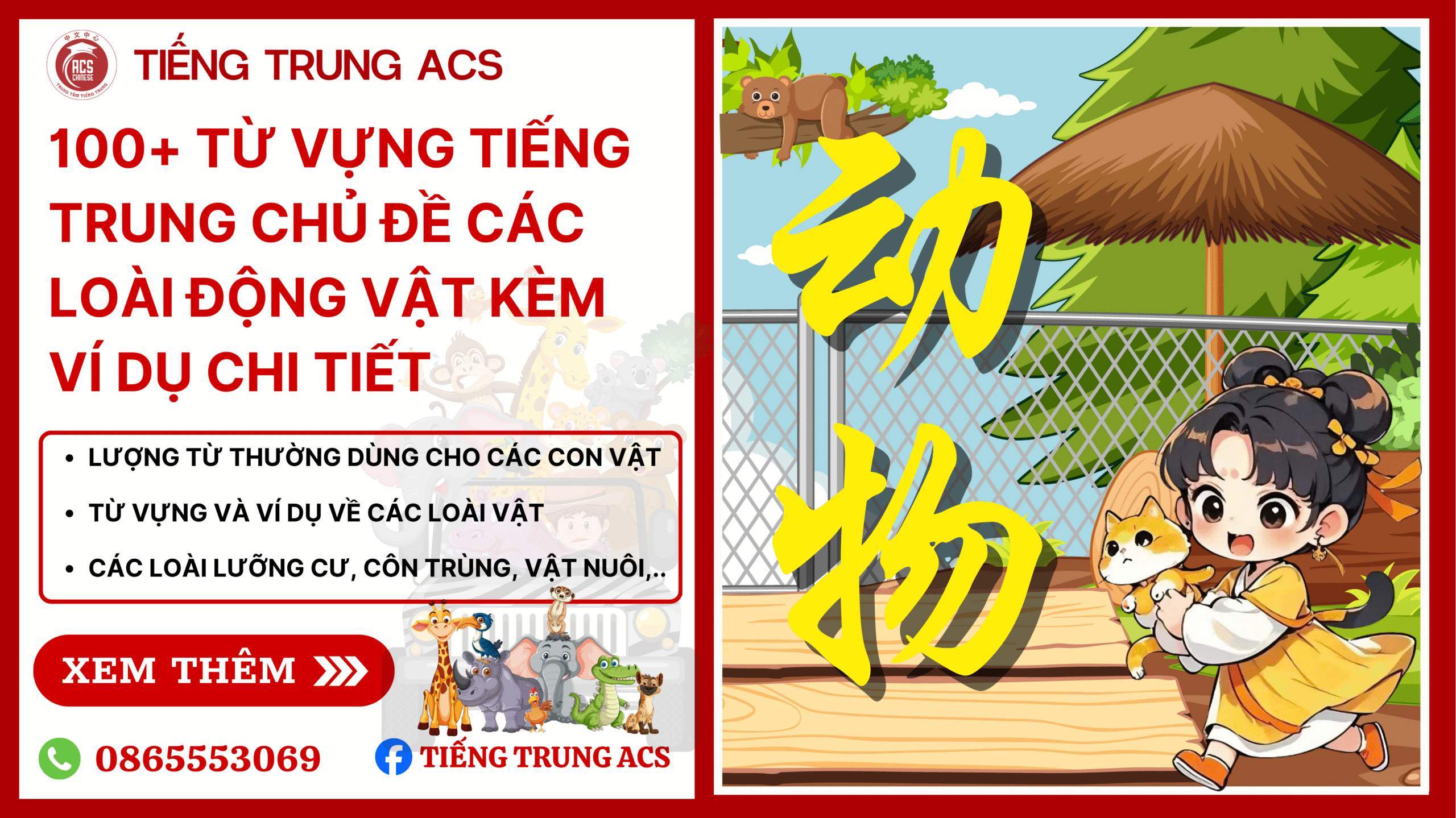100+ TỪ VỰNG TIẾNG TRUNG CHỦ ĐỀ CÁC LOÀI ĐỘNG VẬT KÈM VÍ DỤ CHI TIẾT