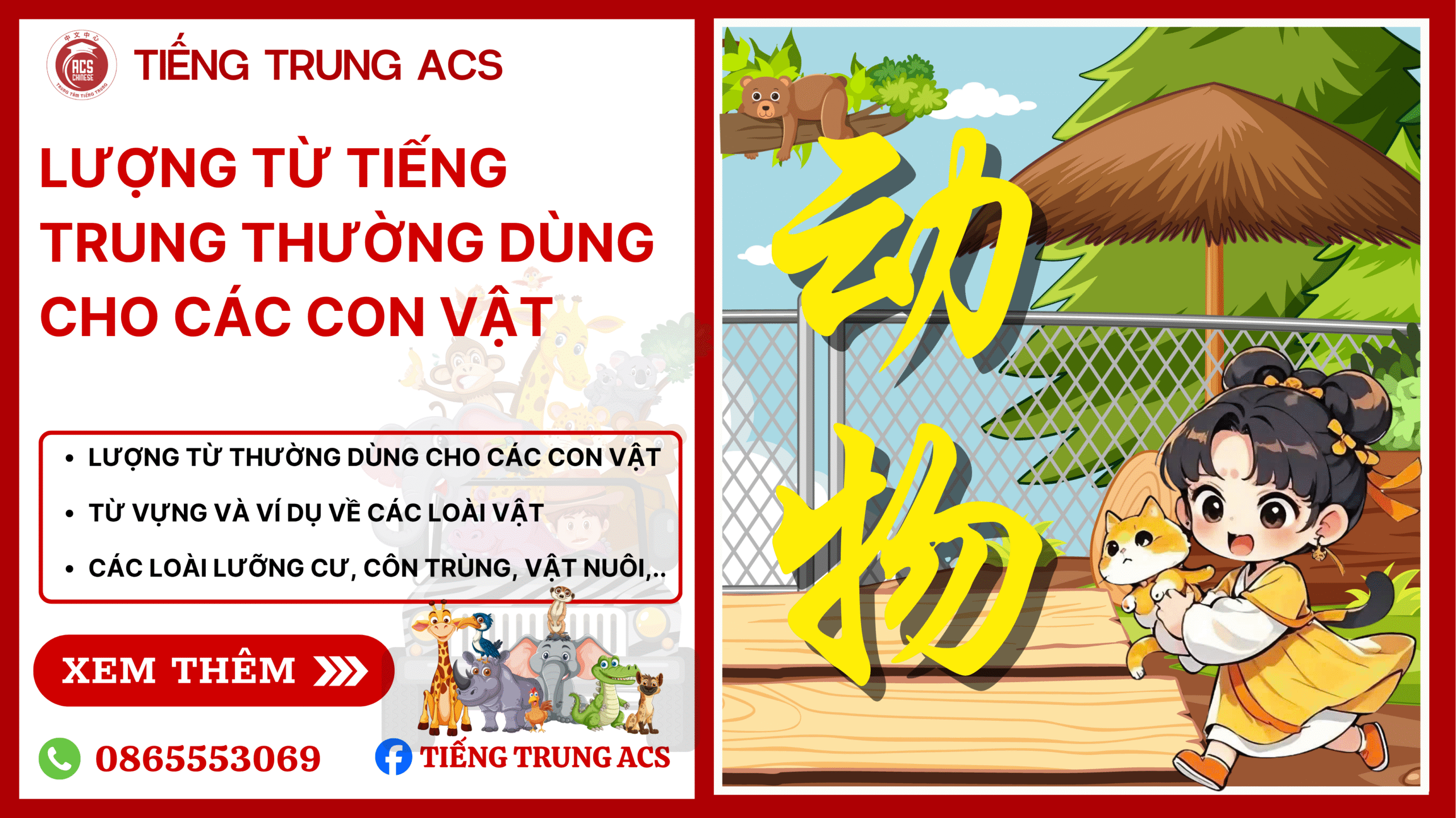 100+ TỪ VỰNG TIẾNG TRUNG CHỦ ĐỀ CÁC LOÀI ĐỘNG VẬT KÈM VÍ DỤ CHI TIẾT