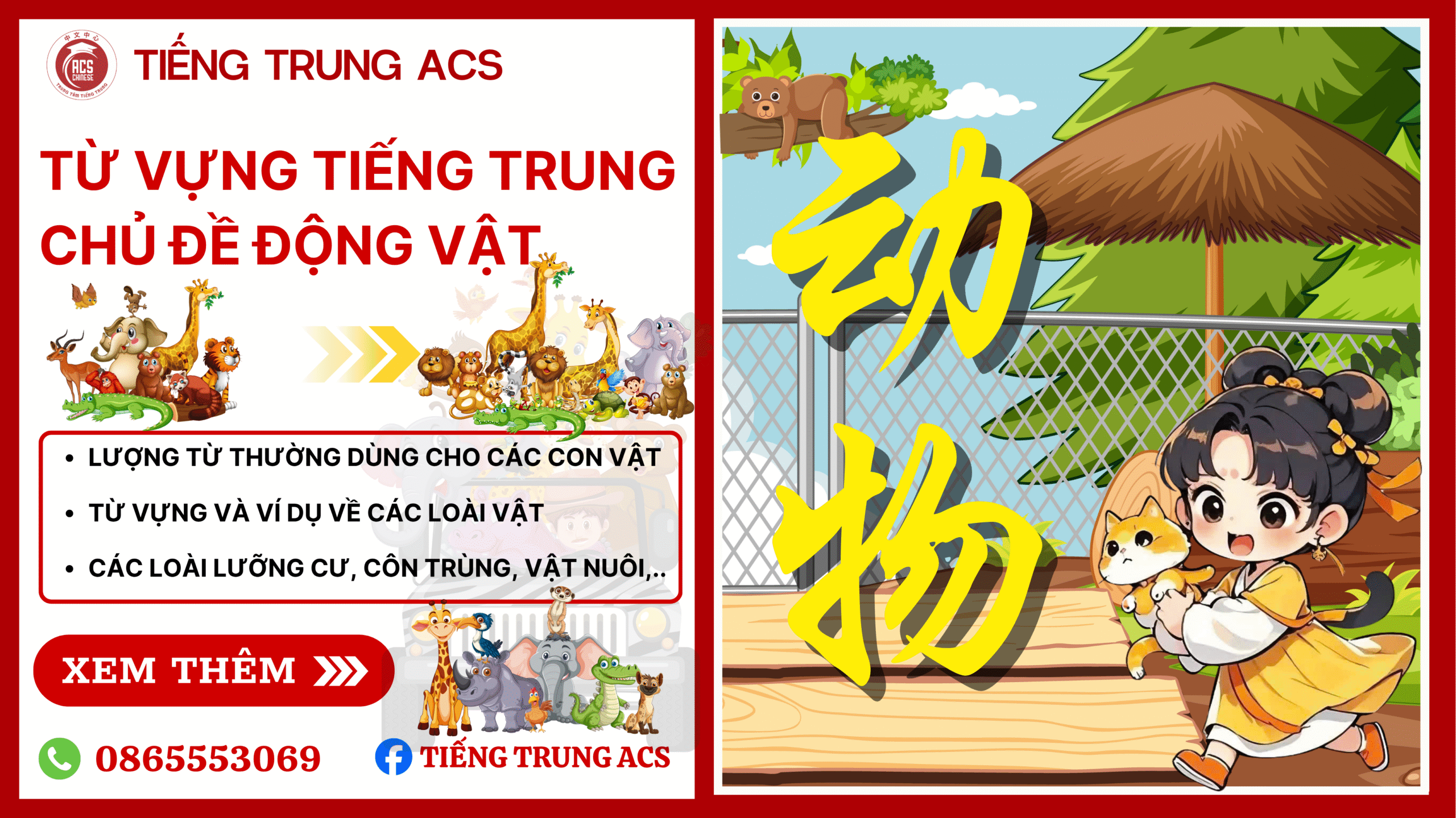 100+ TỪ VỰNG TIẾNG TRUNG CHỦ ĐỀ CÁC LOÀI ĐỘNG VẬT KÈM VÍ DỤ CHI TIẾT